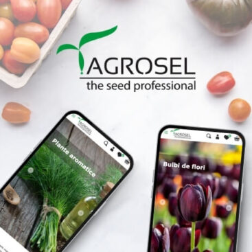 Mejix Potfolio Agrosel
